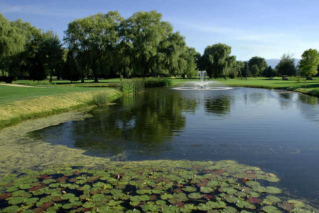 Shadow Ridge Golf Club - photo 4