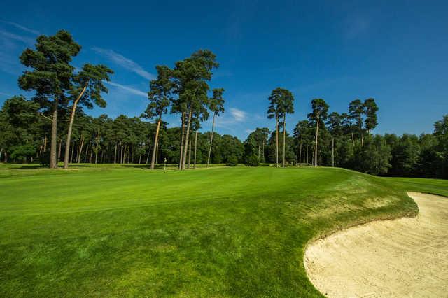 Pine Ridge Golf Club - photo 2