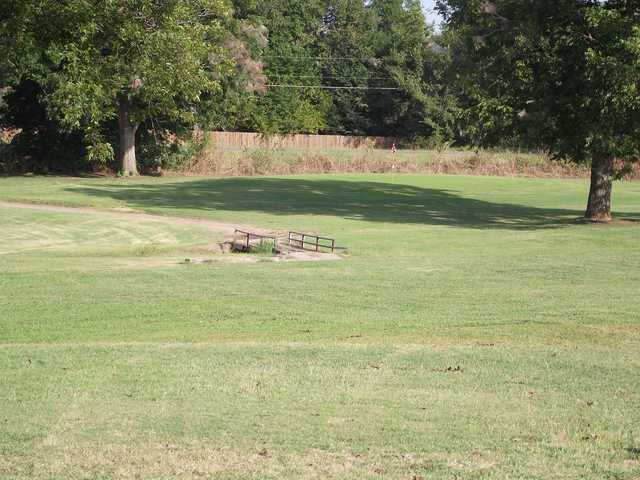 Pecan - photo 2