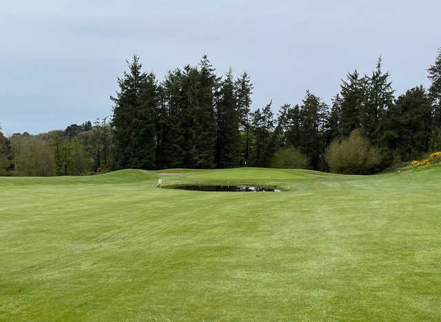 Clonakilty Golf Club - photo 2