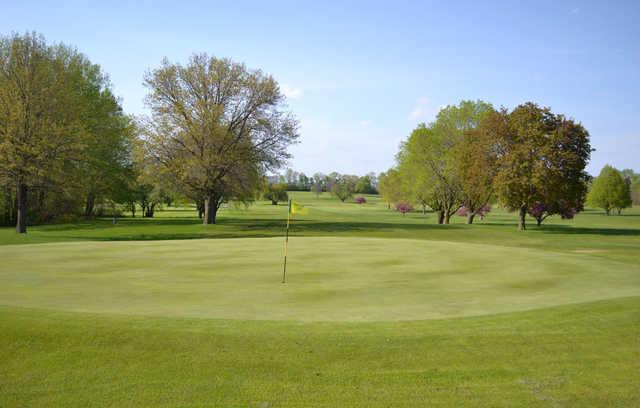 Red Carpet Golf Club - photo 3