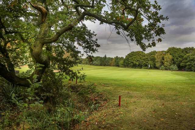 Helsby Golf Club - photo 2
