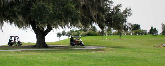 The Villages Executive Golf Trail - photo 7