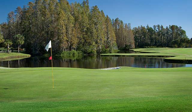 Saddlebrook Resort Golf Course - photo 2