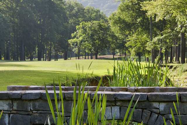 Shoal Creek - photo 4