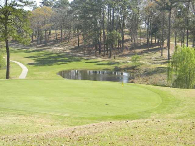 The International City Golf Course - photo 2