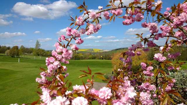 Marlborough Golf Club - photo 2