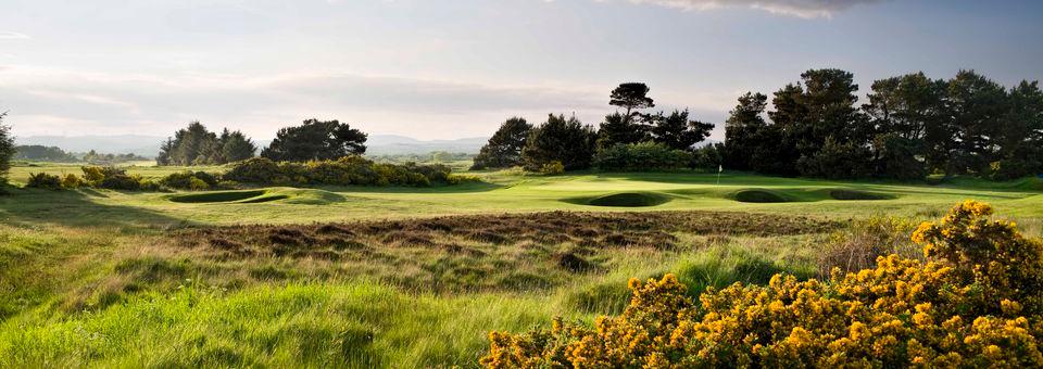 Irvine Golf Club - photo 7
