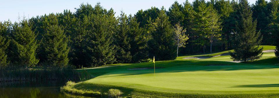 Royal Ashburn - photo 4