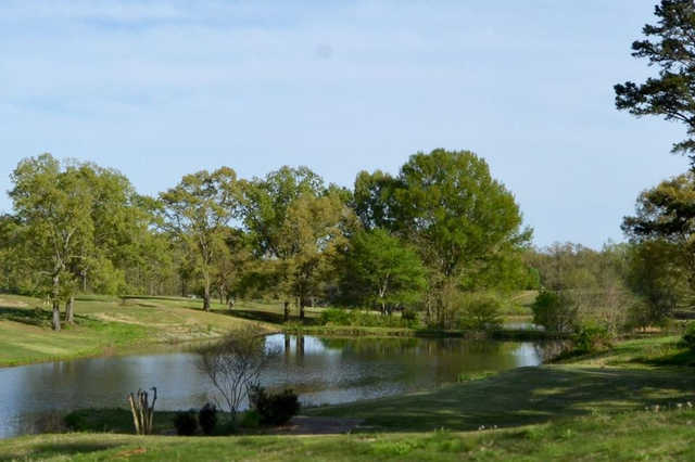 Natchez Trace Golf Club - photo 2