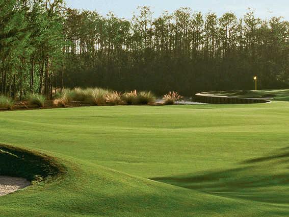 The Dye Preserve