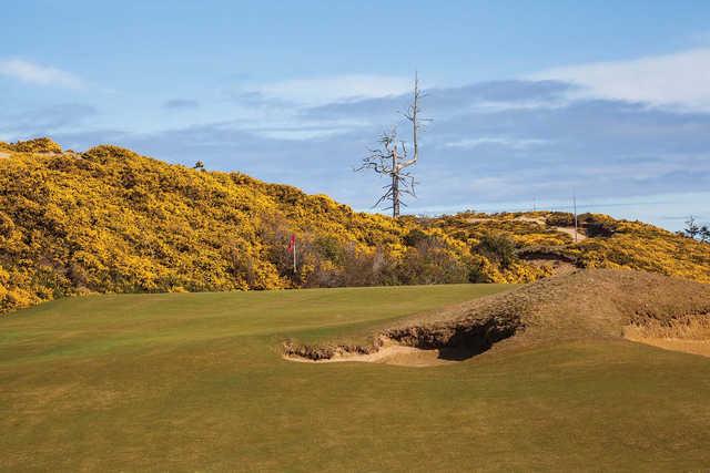 Bandon Dunes Golf Resort - Old Macdonald - photo 2