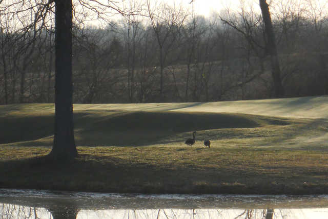 Twin Run Golf Course - photo 2