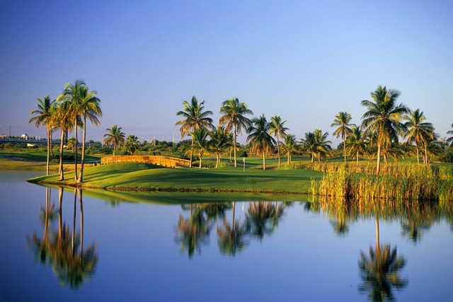 Costa Caribe Golf & Country Club - photo 5