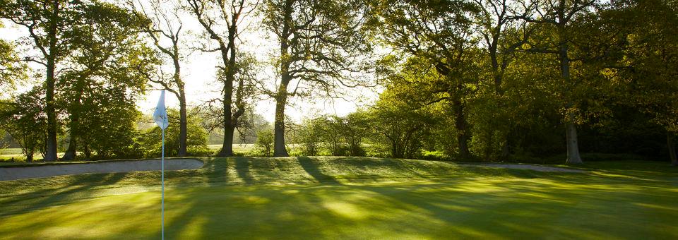 Lingfield Park Golf Club - photo 6