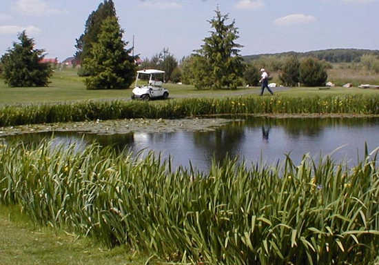 Piney Run Golf Course - photo 2