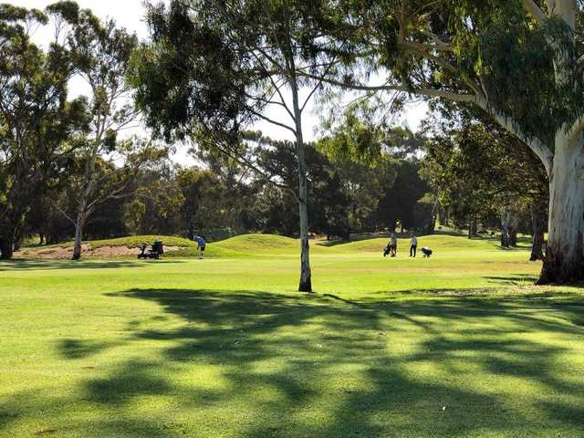 Murray Bridge Golf Club