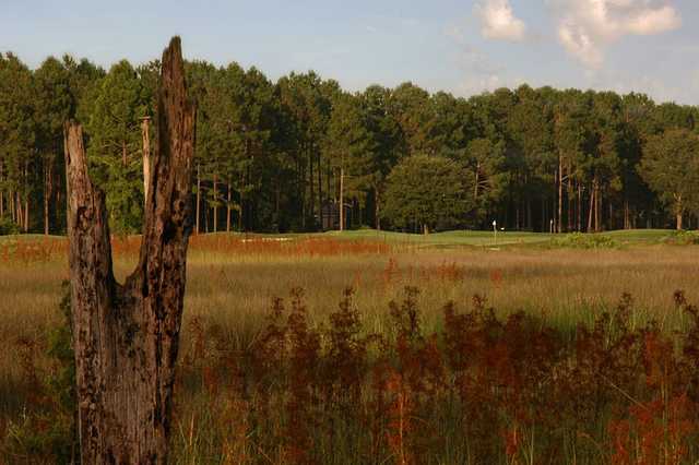 The Club at Osprey Cove - photo 3