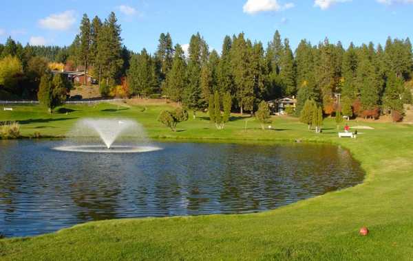 Ponderosa Springs - photo 5