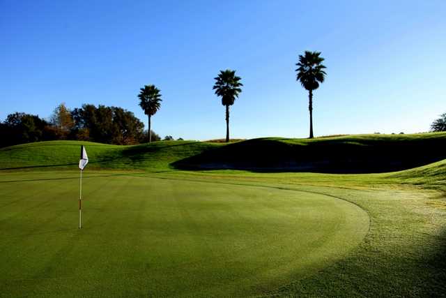 Twisted Oaks Golf Club - photo 3