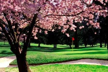 Tualatin Country Club - photo 3