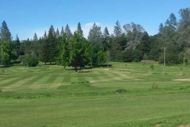Gator Creek Golf Course - photo 3