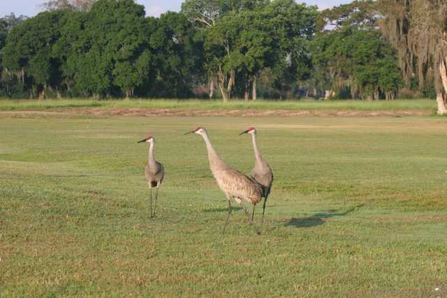 Sarasota Golf Club