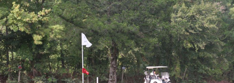 The Spring Country Club - photo 2