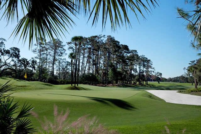TPC Sawgrass - The PLAYERS Stadium - photo 3