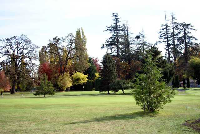 Ardmore Golf Course - photo 3