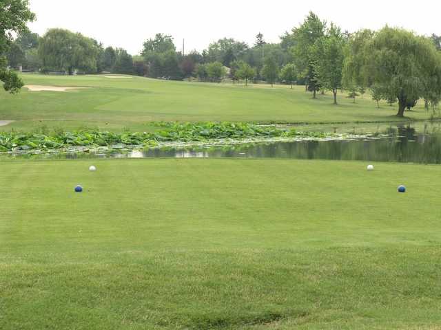 Forest Park Golf Course - photo 3