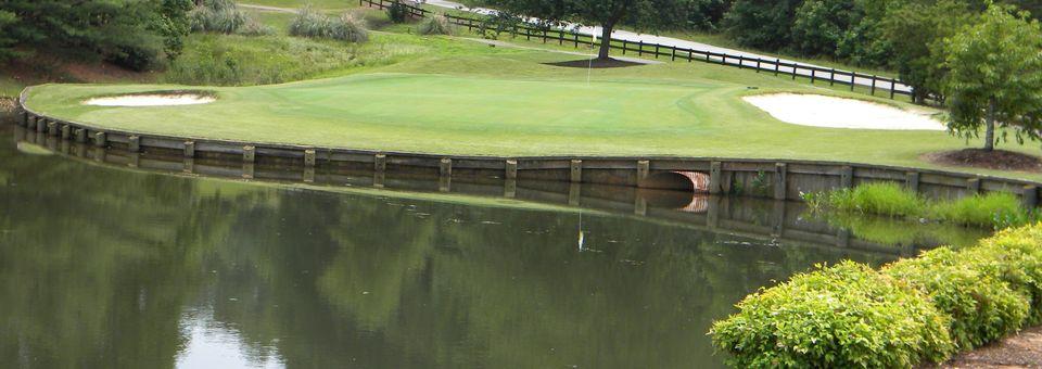 Village Greens Golf Club - photo 4