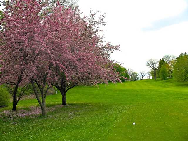 Ann Arbor Golf & Outing Club - photo 3