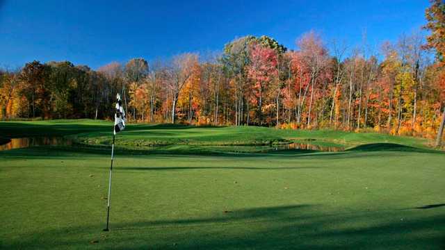 Pheasant Run Golf Club - photo 7