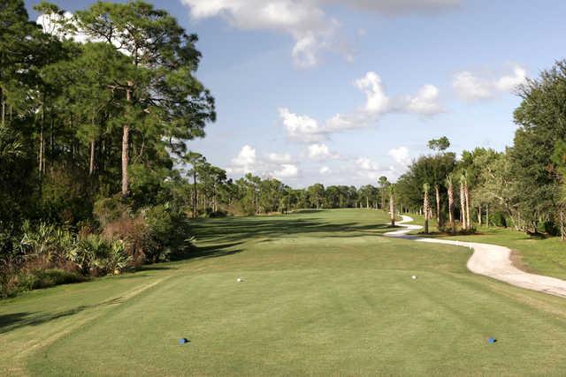Sandhill Crane Golf Course - photo 6
