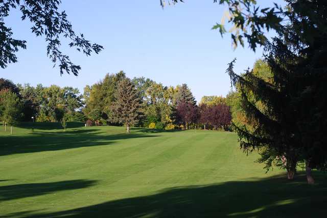 Roseville-Cedarholm Golf Club - photo 3