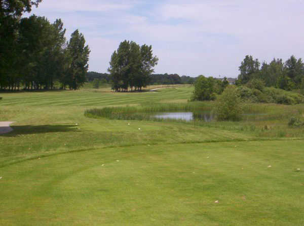 The Colonial Golf Course - photo 1