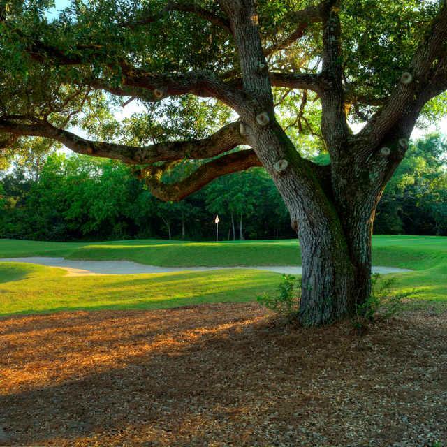 The Oaks Golf Club