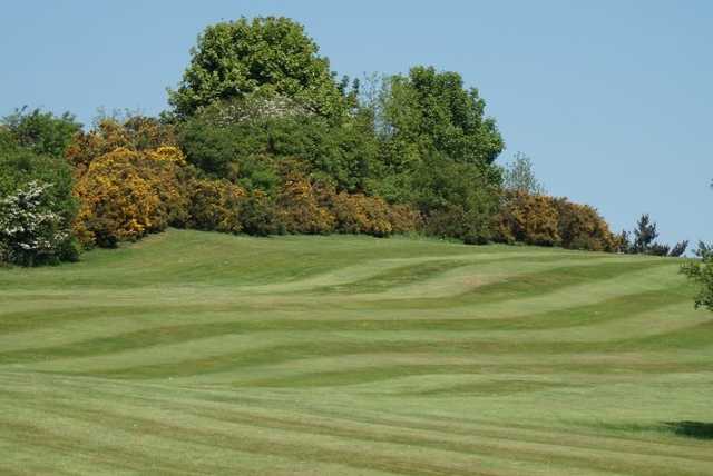 Crook Golf Club - photo 3