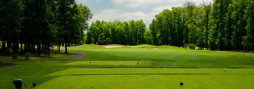 Hyatt Hills Golf Complex - photo 4