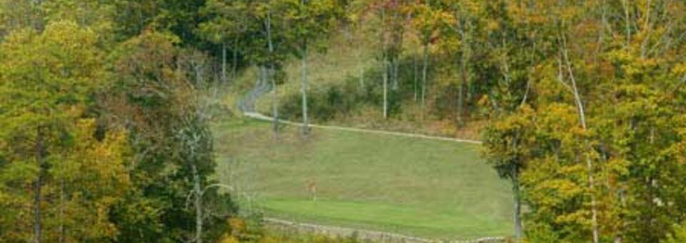 Shady Hollow Golf Course - photo 3