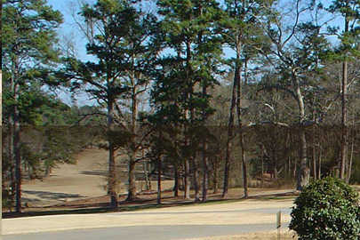 Athens Country Club - photo 3