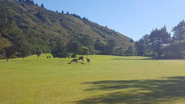 Bear Valley - photo 1