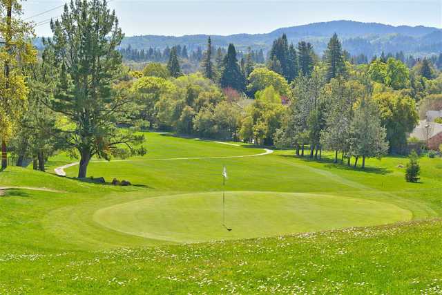 Tayman Park Golf Course - photo 2