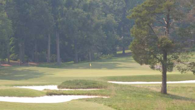 Forest Oaks - photo 2