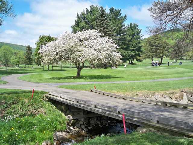 Smethport - photo 3