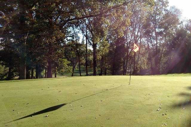 Vitense Golfland - photo 4