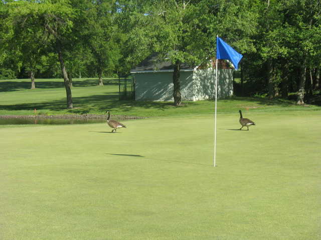 South Shore Golf Course - photo 3
