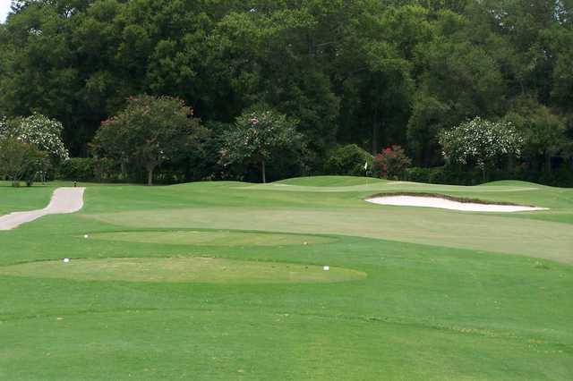 Pine Oaks of Ocala - photo 1