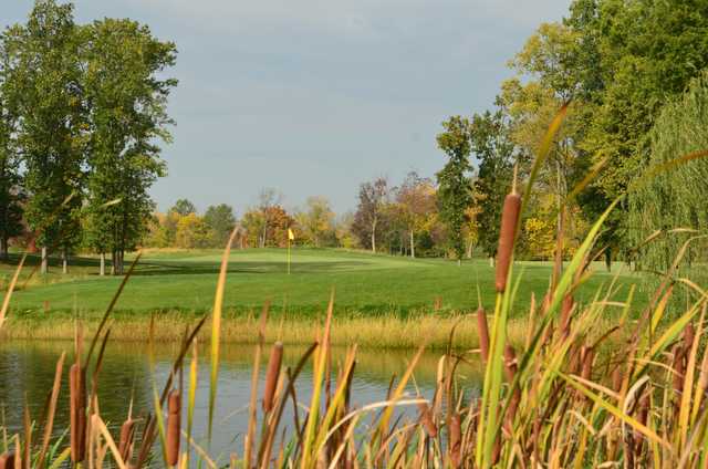 Rattlesnake Ridge Golf Club - photo 3